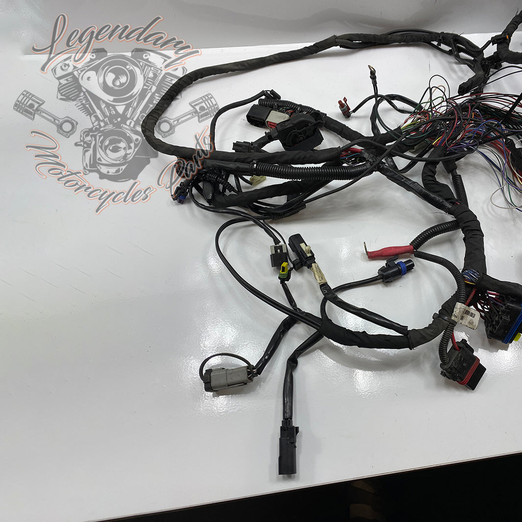 Faisceau principal OEM 69201991